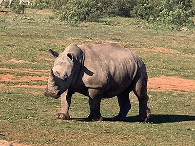 Shamwari Private Game Reserve